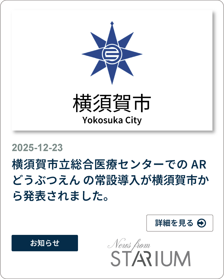 YOKOSUKA-6